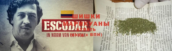 мдпв Балабаново