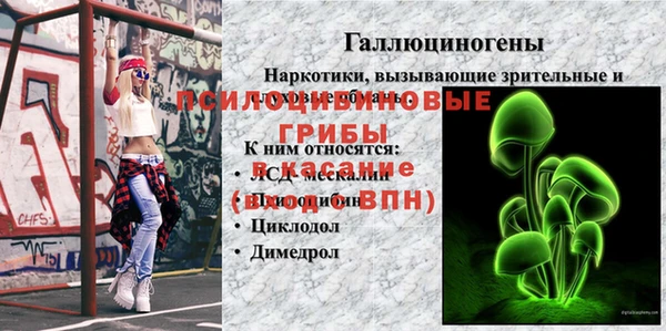 MESCALINE Баксан