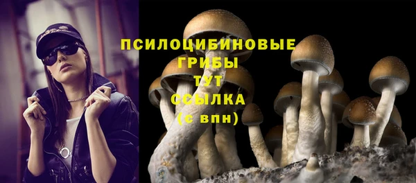 герыч Белокуриха