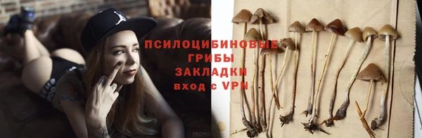 мяу мяу мука Белоозёрский
