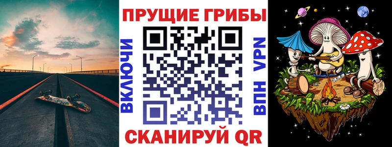 Галлюциногенные грибы MAGIC MUSHROOMS  купить  цена  Красный Холм 